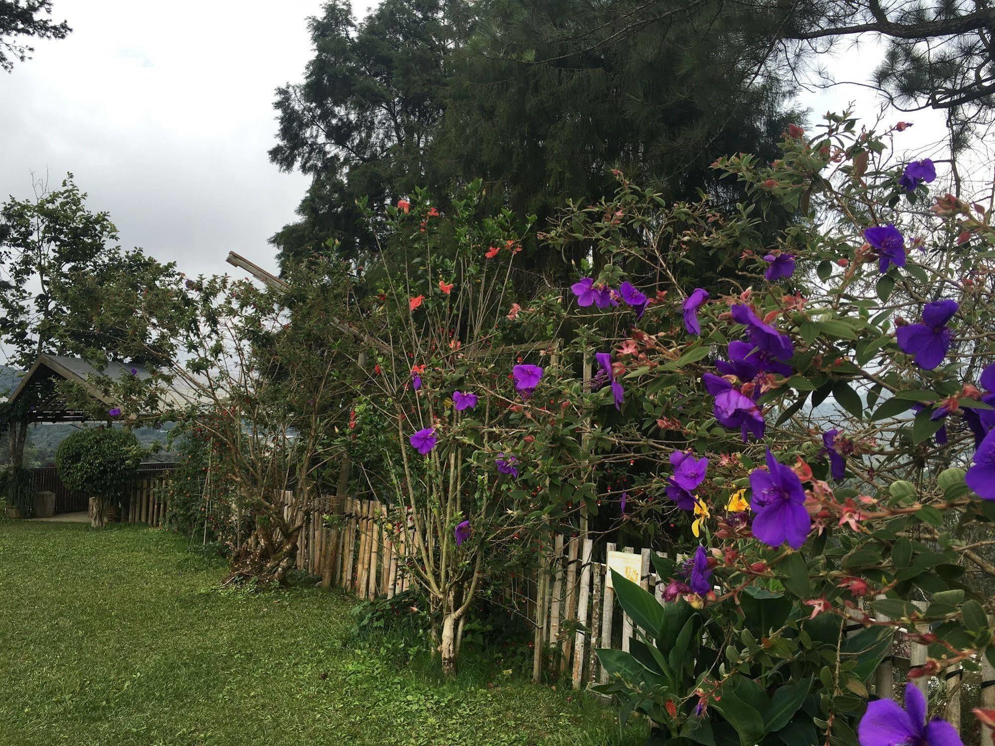 Jim Thompson Cottage คาเมรอนไฮแลนด์ ภายนอก รูปภาพ